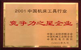 2001竞争力之星.jpg